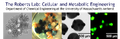 Thumbnail for version as of 01:30, 28 September 2011