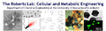 Thumbnail for version as of 14:00, 28 September 2011