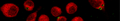 Thumbnail for version as of 03:30, 23 September 2006