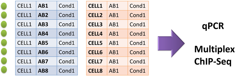 File:BMC IPprotocol.png