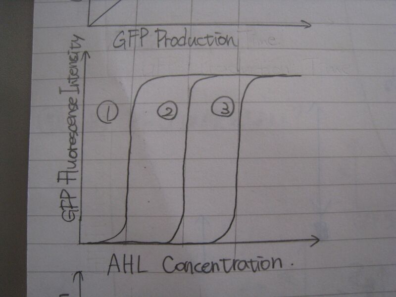 File:Chiba 28aug3.JPG