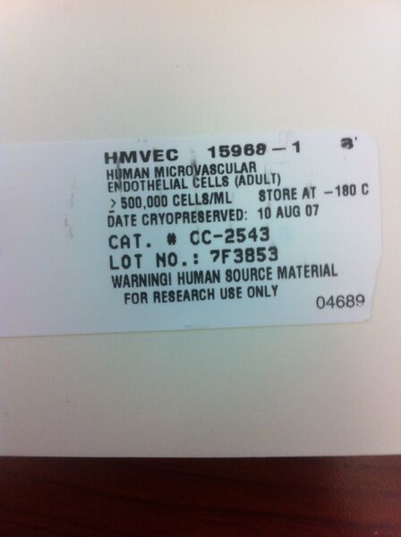 File:HMVEC 20120823.JPG