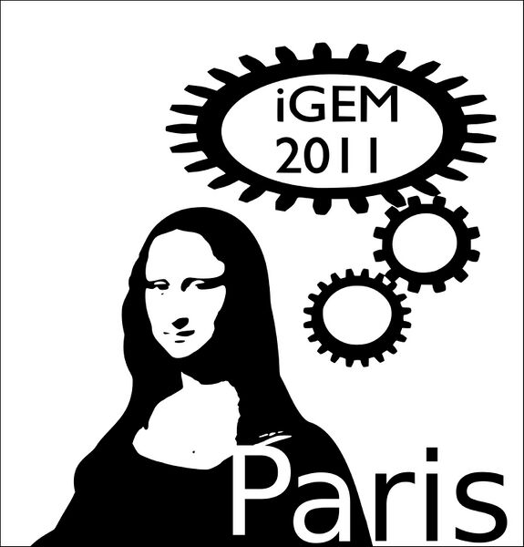 File:LogoCRI.jpg