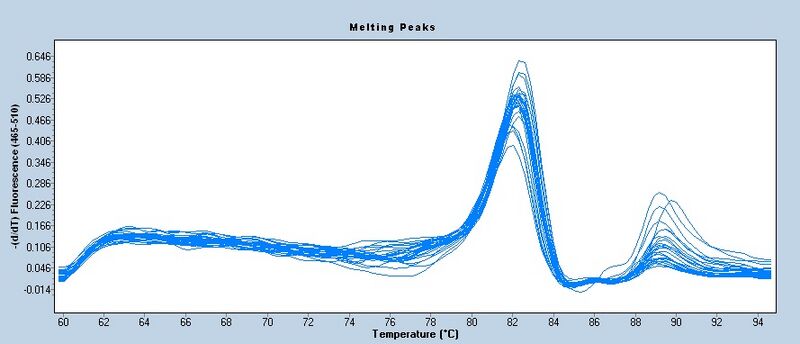 File:S13 M3D5 TR 18S-melt.jpg