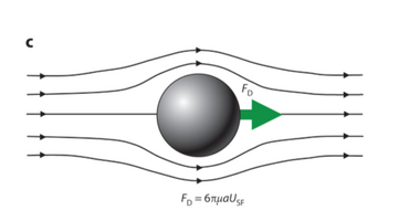 Figure 4. Secondary Drag Force [1]