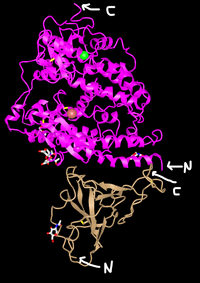 Recreated structure labeled
