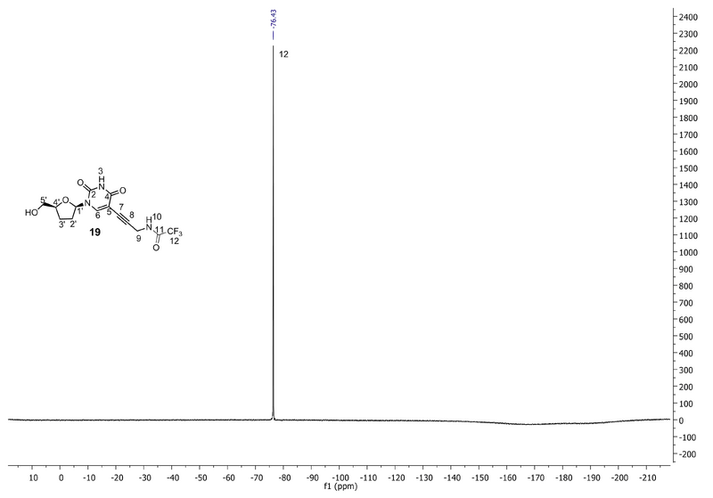 19F NMR for compound 19