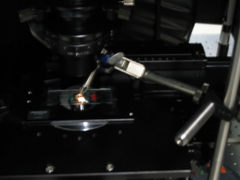 File:Magnetic Mount.JPG