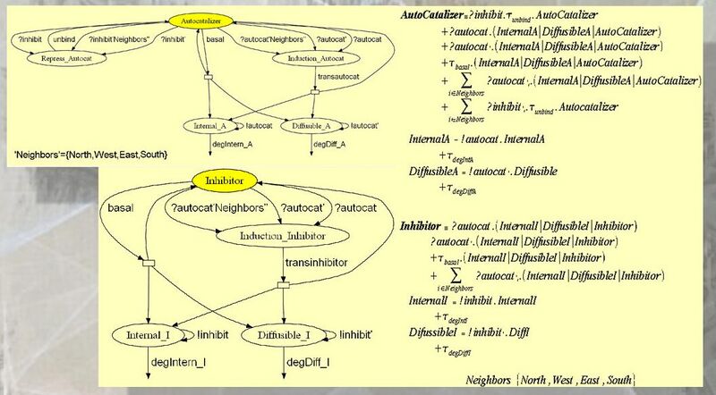 File:SPi model 5x5.JPG