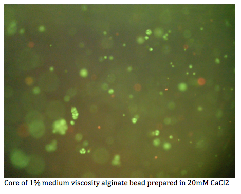 File:Talk page Ca 20mM pic.jpg