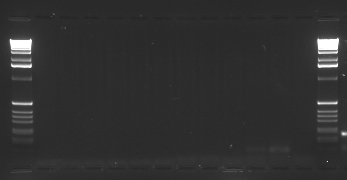 File:20110111 Touchdown.TIF