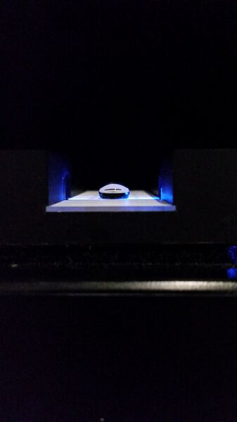 File:20161026 100208-7-.jpg