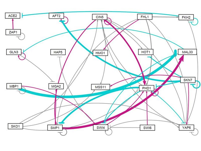 File:All strains weight0 network.jpg