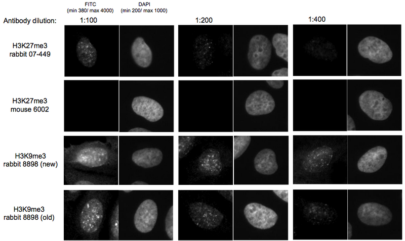 File:KAH 040110 micro1.tif