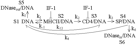 File:Kinetic4.bmp