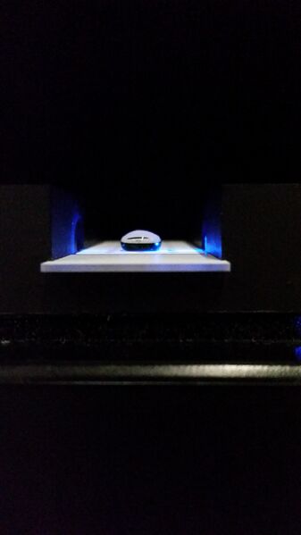 File:20161026 100543-18-.jpg