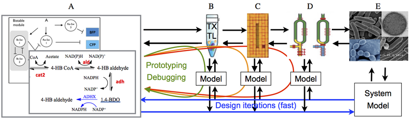 File:Breadboard-process.png