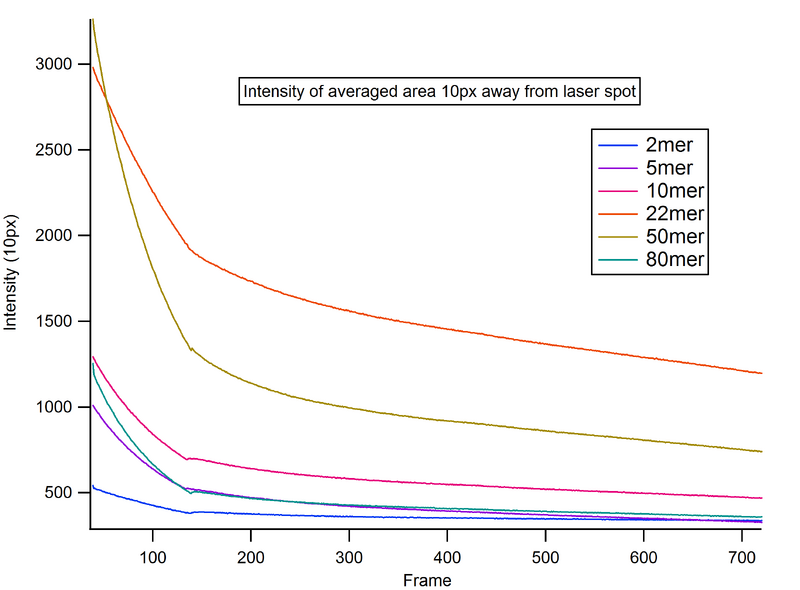 File:Chris nie Intensity10px.png