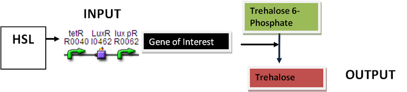 File:II09 OtsB Assay.png