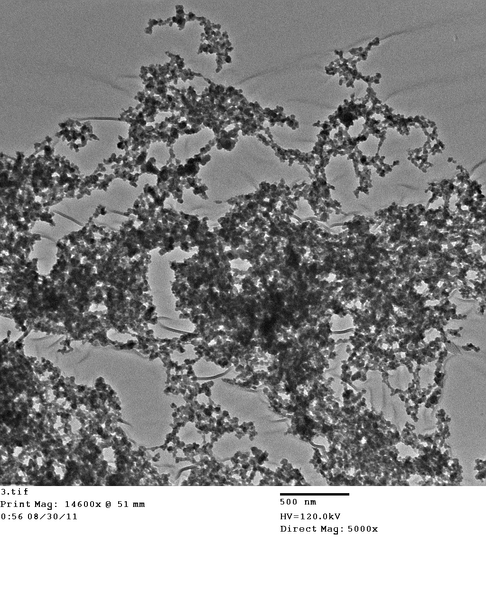 File:Phage SWNTs TiO2 3.tif