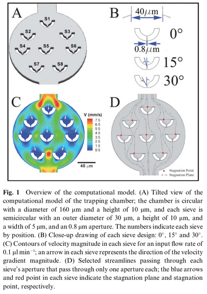 File:Wiki Page Figure 1.png