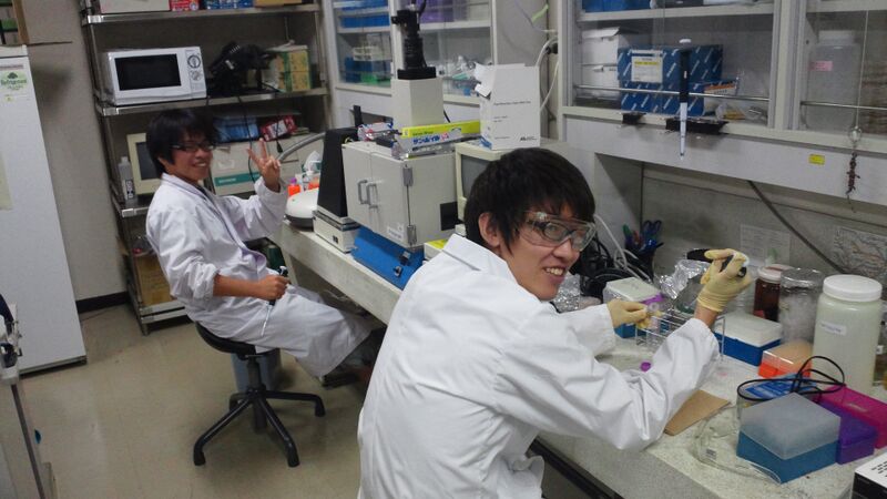 File:Biomod-2012-utokyo-uthongo-team-12.jpg
