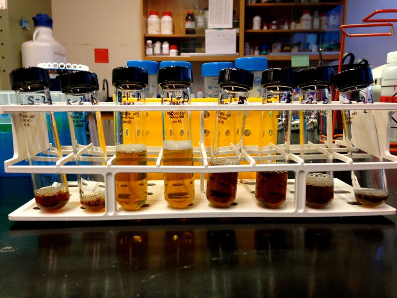 File:Soil Proteins.jpg