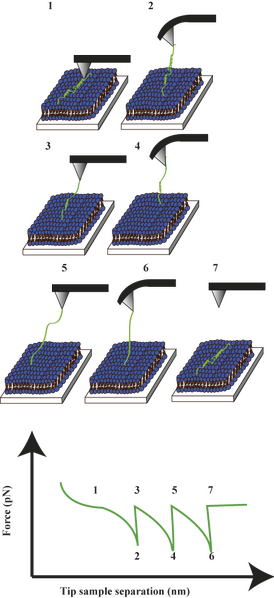 File:Spectroscopy.png