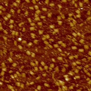 2-pot reaction with both L-DNA strands 1:100 (design 5) templated (1μm)