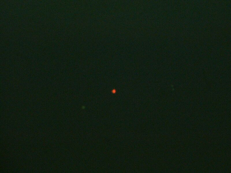 File:2D fluorescent (red green 10X).jpg