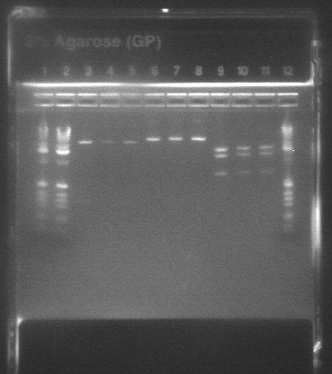 File:729 digest 1-9.jpg