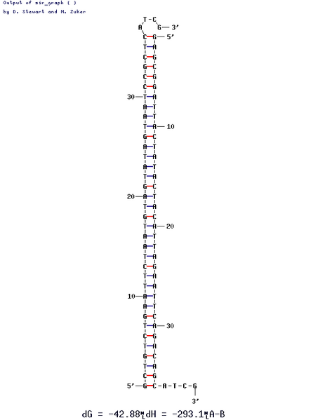 File:Bstxi adapter.png