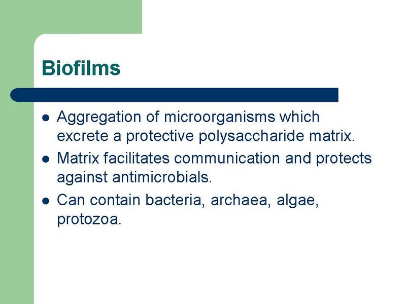 File:Psuigemnrj5011biofilm2.JPG