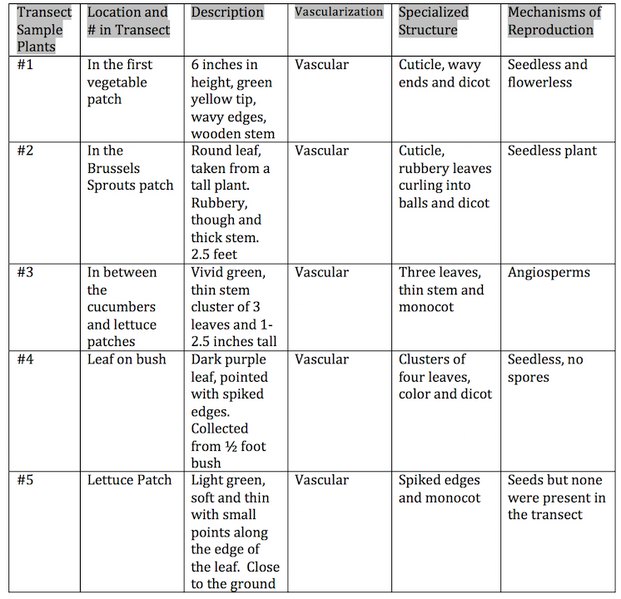 File:Screen Shot 2015-02-12 at 1.40.19 PM.png