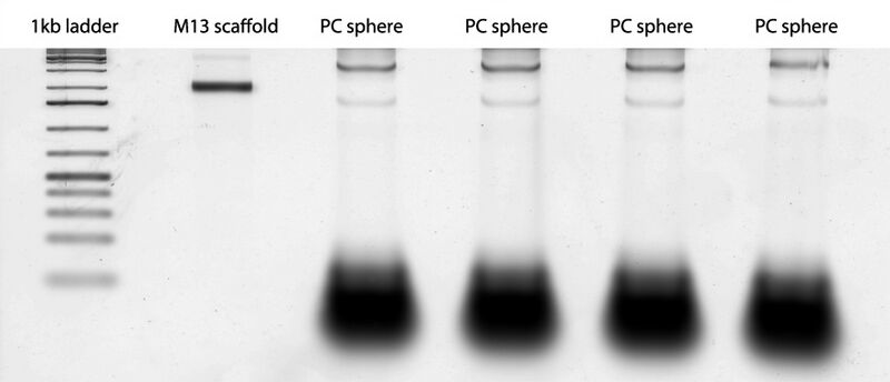 File:2011-07-13 spheregel.jpg
