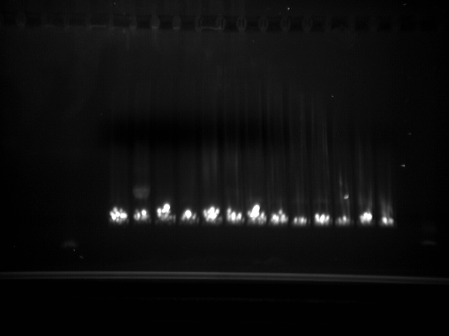 File:Group 13 Nov 4.jpg