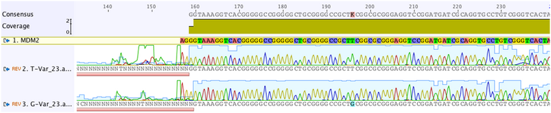 File:Mdm2 sequencing.png