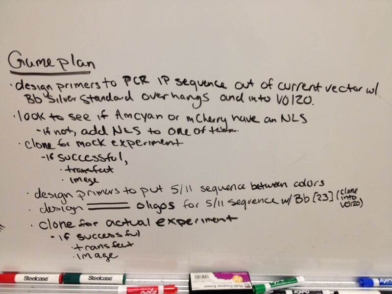 File:Whiteboard notes 3.JPG