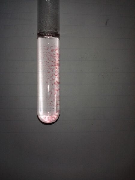 File:2012-10-24 15.21.48.jpg