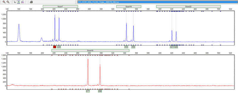 File:20120123 Scun10.png