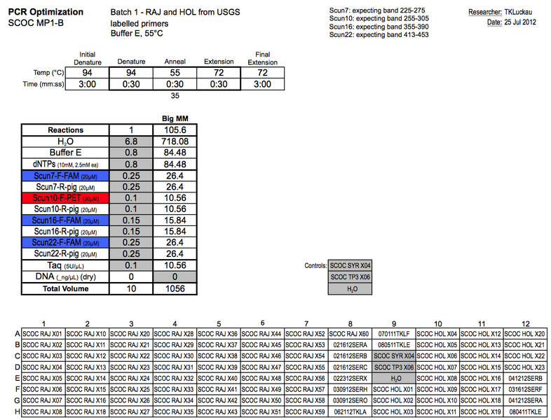 File:20120725 PCR.png
