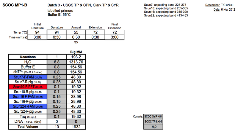 File:20121106 PCR.png