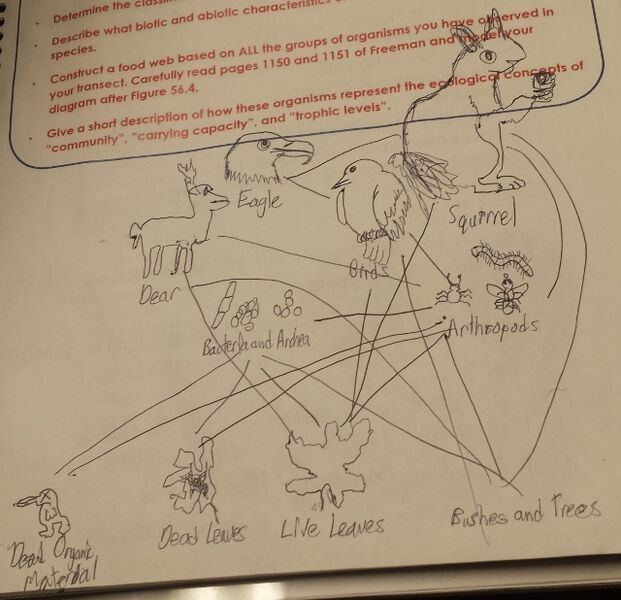 File:20150224 192050 (640x618).jpg