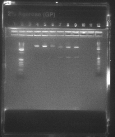 File:729 digest 19-24.jpg