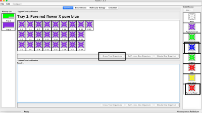 result of blue plus red