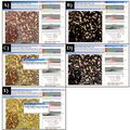 Thumbnail for version as of 14:54, 2 April 2012