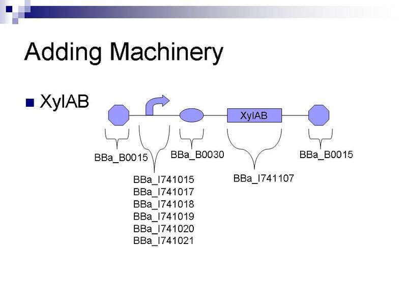 File:PSUiGEM07weeklyplan625Slide8.JPG