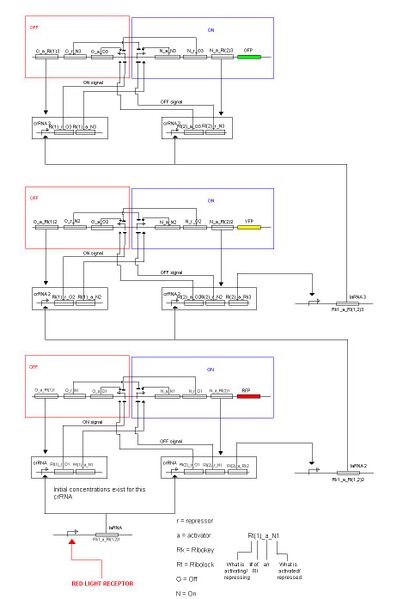 File:Simon model.jpg