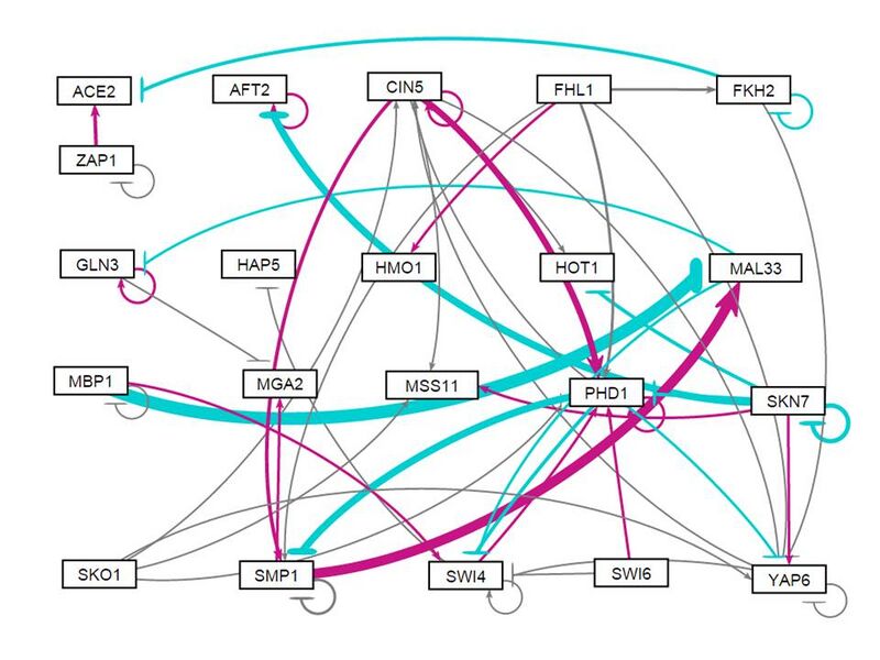 File:2015.06.03.Weighted pos3 neg3 rand.jpg