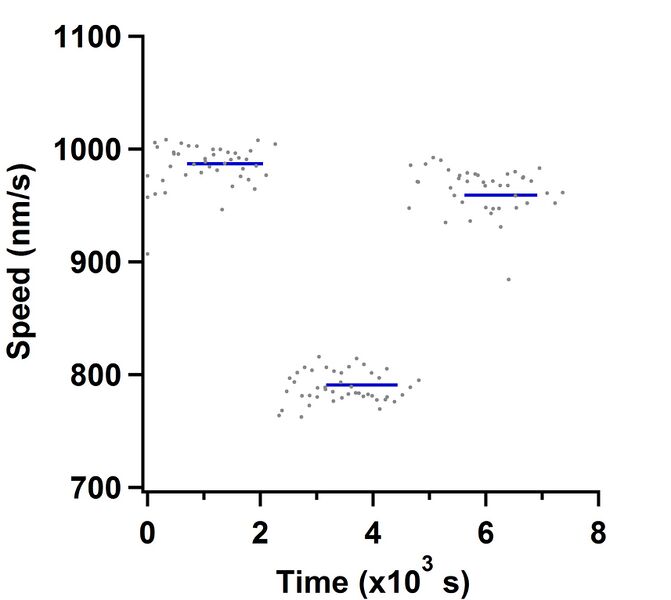 File:AM ReflowCell.jpg